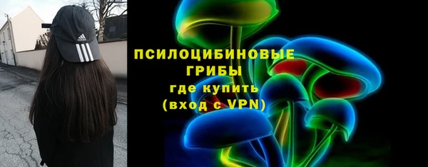 ешки Липки