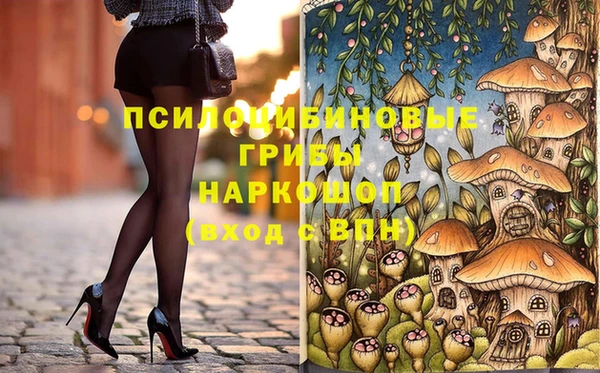 ешки Липки