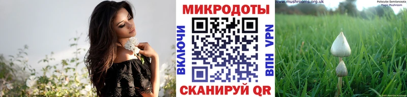 цена   Пенза  Галлюциногенные грибы ЛСД 