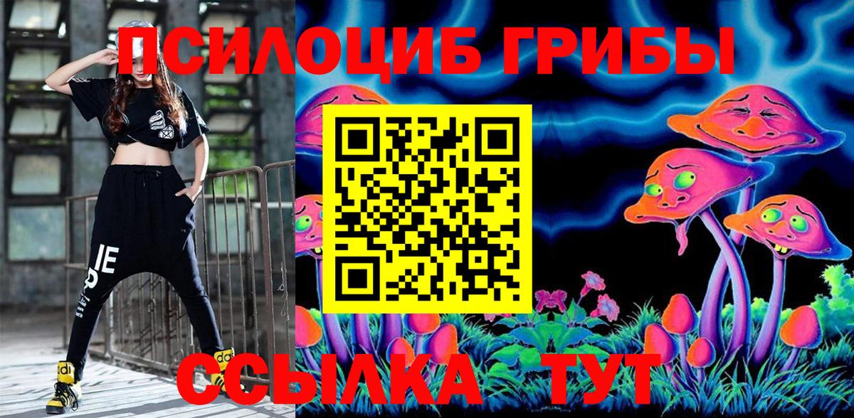 наркотики  Пенза  Галлюциногенные грибы ЛСД 
